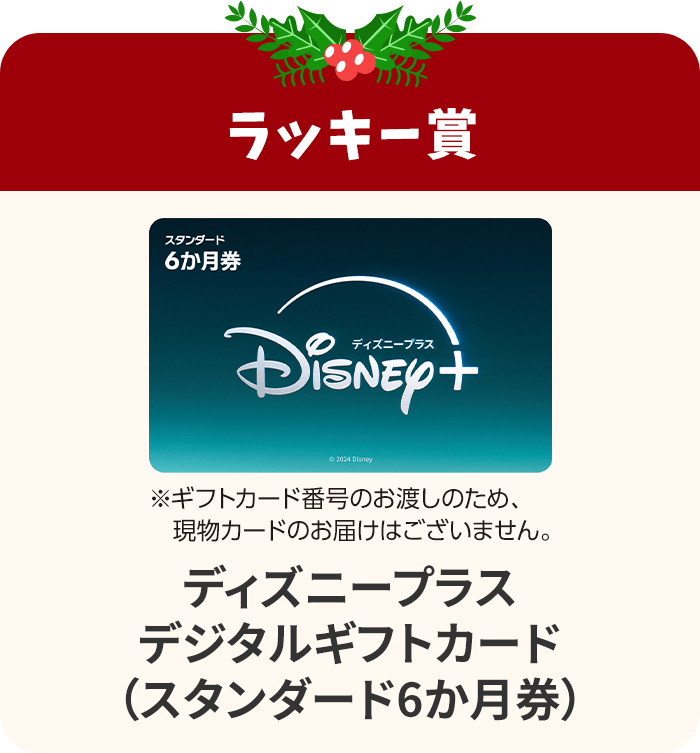 ラッキー賞 ディズニープラス デジタルギフトカード（スタンダード6か月券）※ギフトカード番号のお渡しのため、現物カードのお届けはございません。