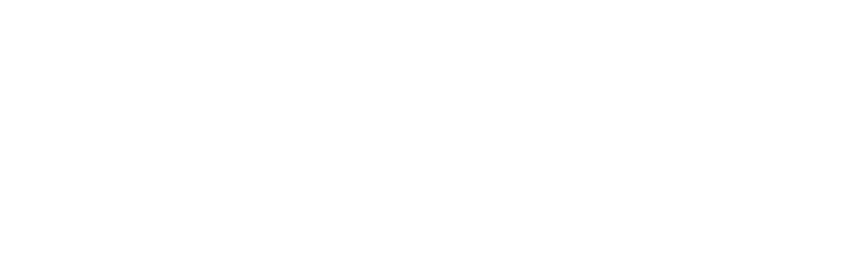 快適ドライブ派
