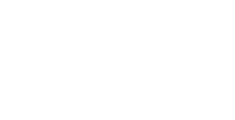 快適ドライブ派