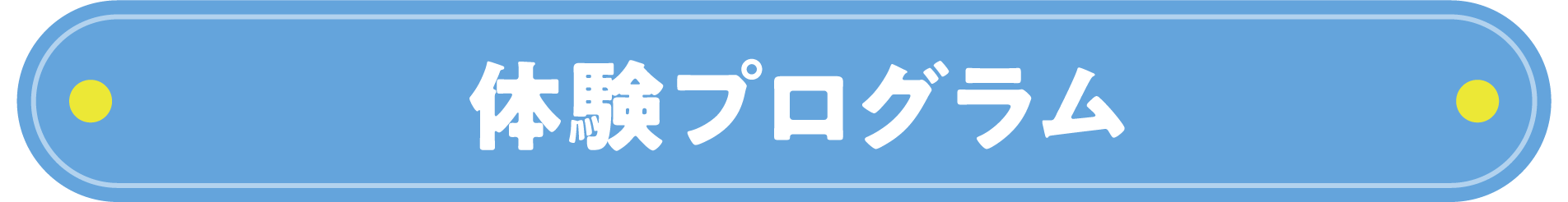 体験プログラム