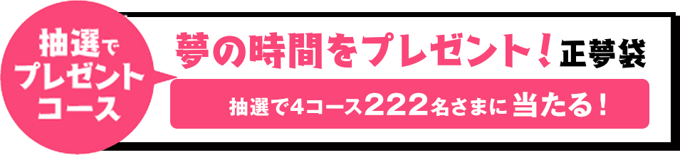 抽選でプレゼントコース 夢の時間をプレゼント!正夢袋 抽選で4コース222名様に当たる!