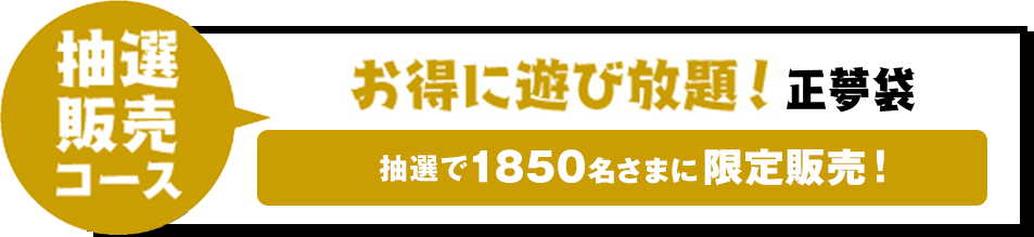 抽選販売コース お得に遊び放題!正夢袋 抽選で1850名様に限定販売!