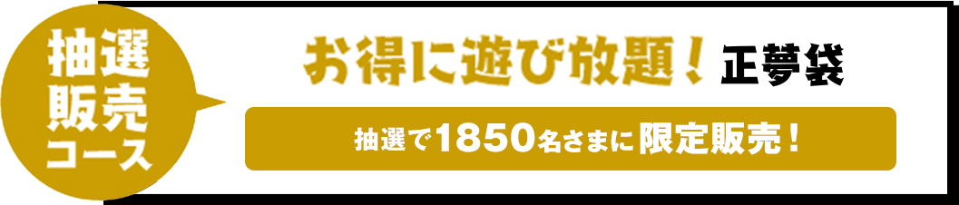 抽選販売コース お得に遊び放題!正夢袋 抽選で1850名様に限定販売!