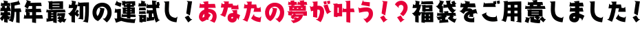 新年最初の運だめし！あなたの夢が叶う!?福袋をご用意しました!