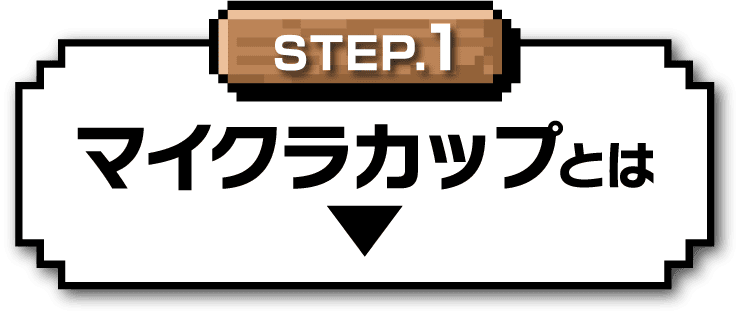 マイクラカップとは