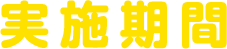 実施期間