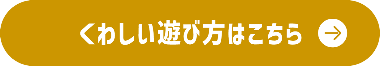 くわしい遊び方はこちら
