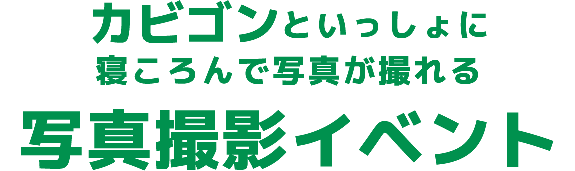 カビゴンといっしょに寝ころんで写真が撮れる写真撮影イベント