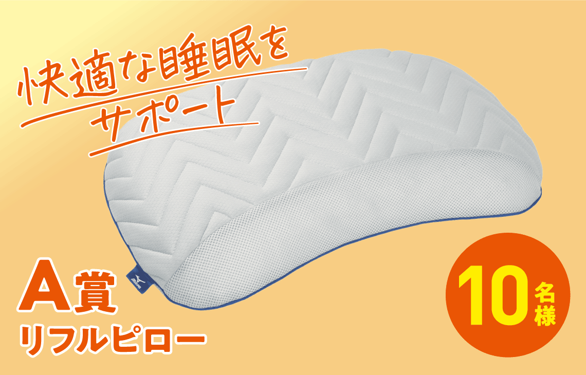 A賞 リフルピロー 10名様