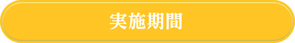 実施期間